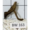 Bogwood 163