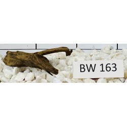 Bogwood 163