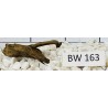 Bogwood 163