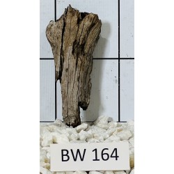 Bogwood 164