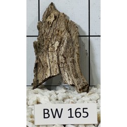 Bogwood 165