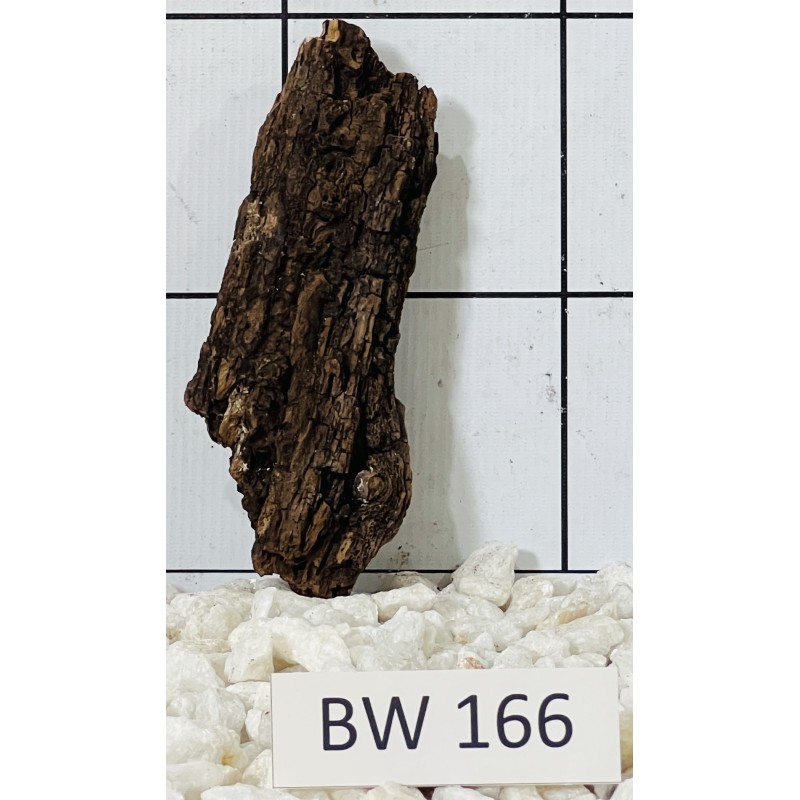 Bogwood 166