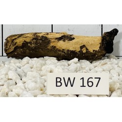 Bogwood 167