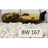 Bogwood 167