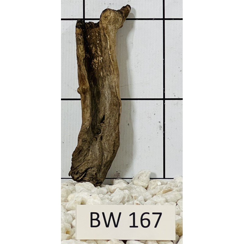 Bogwood 167