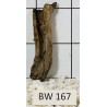 Bogwood 167