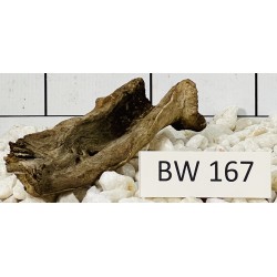 Bogwood 167