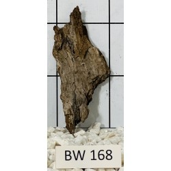 Bogwood 168