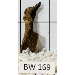 Bogwood 169