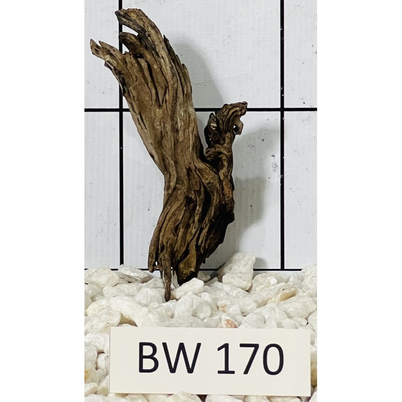 Bogwood 170
