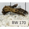 Bogwood 170