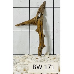 Bogwood 171