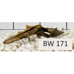 Bogwood 171