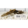 Bogwood 171