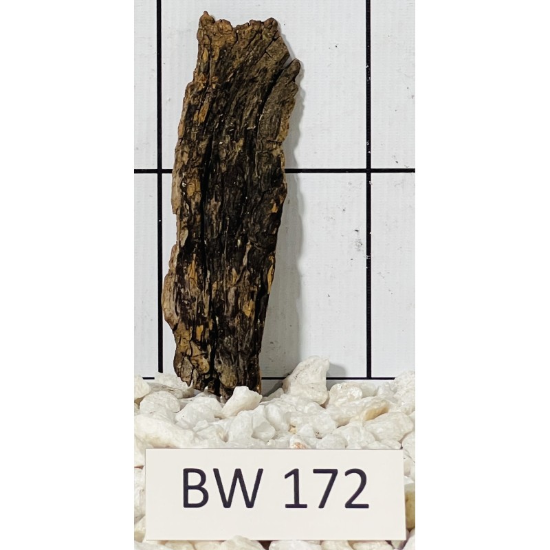 Bogwood 172