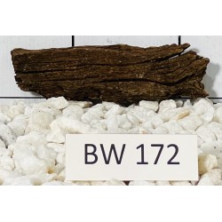 Bogwood 172