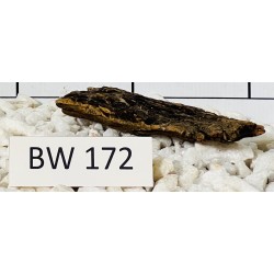 Bogwood 172