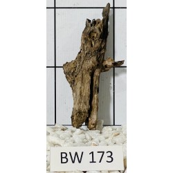 Bogwood 173