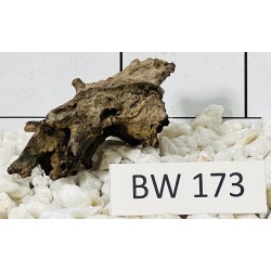 Bogwood 173