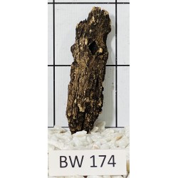 Bogwood 174