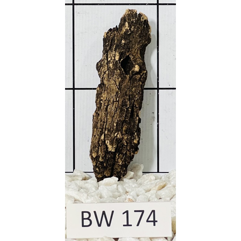 Bogwood 174