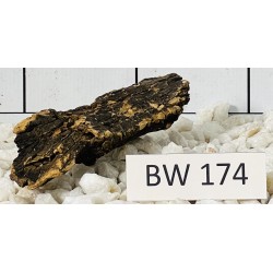 Bogwood 174
