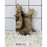 Mangrovewood 01