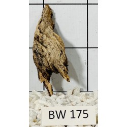 Bogwood 175