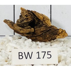 Bogwood 175