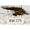 Bogwood 175