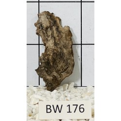 Bogwood 176