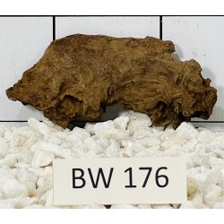 Bogwood 176