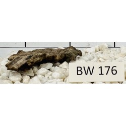 Bogwood 176