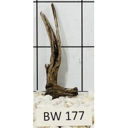Bogwood 177