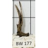 Bogwood 177