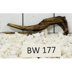 Bogwood 177