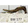 Bogwood 177