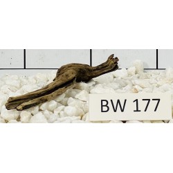 Bogwood 177