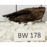Bogwood 178