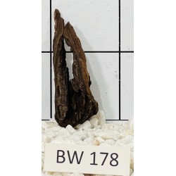 Bogwood 178