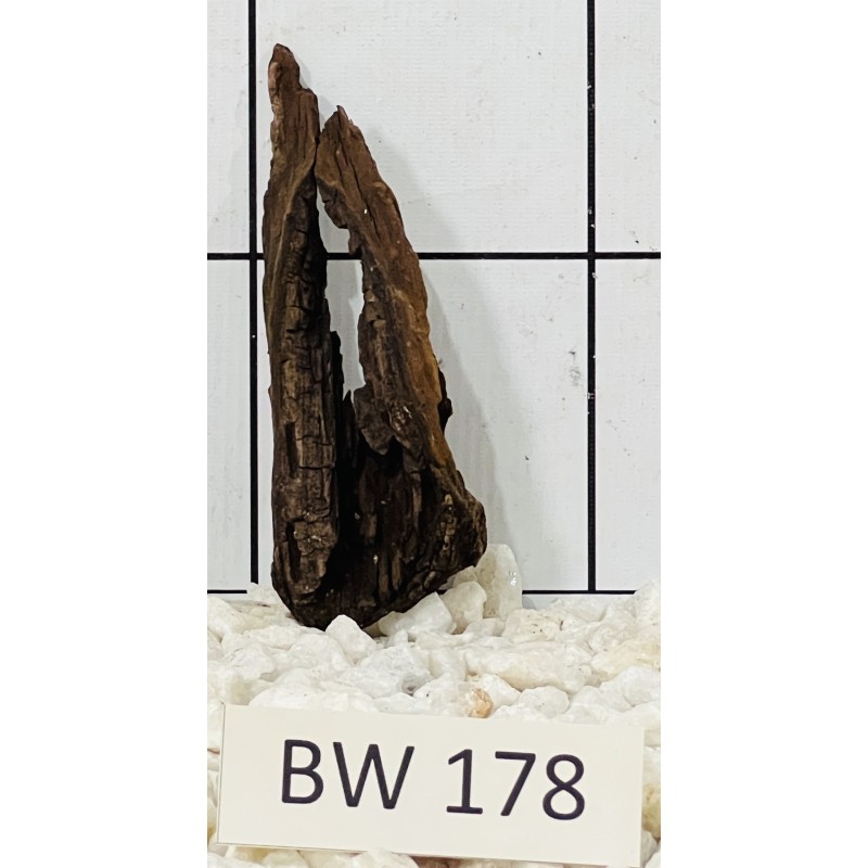 Bogwood 178