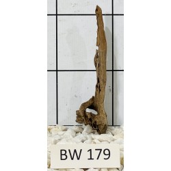 Bogwood 179