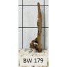 Bogwood 179