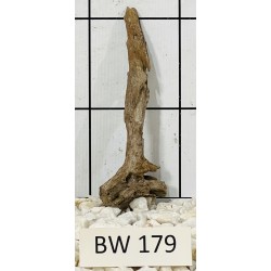 Bogwood 179