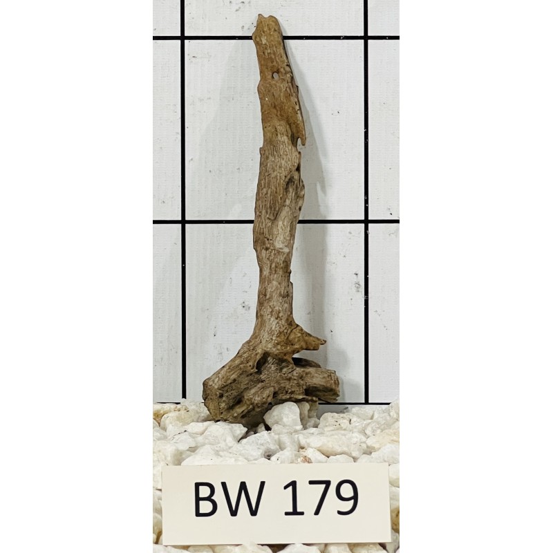 Bogwood 179