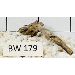Bogwood 179