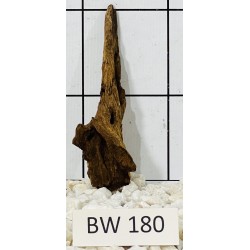 Bogwood 180