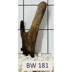Bogwood 181