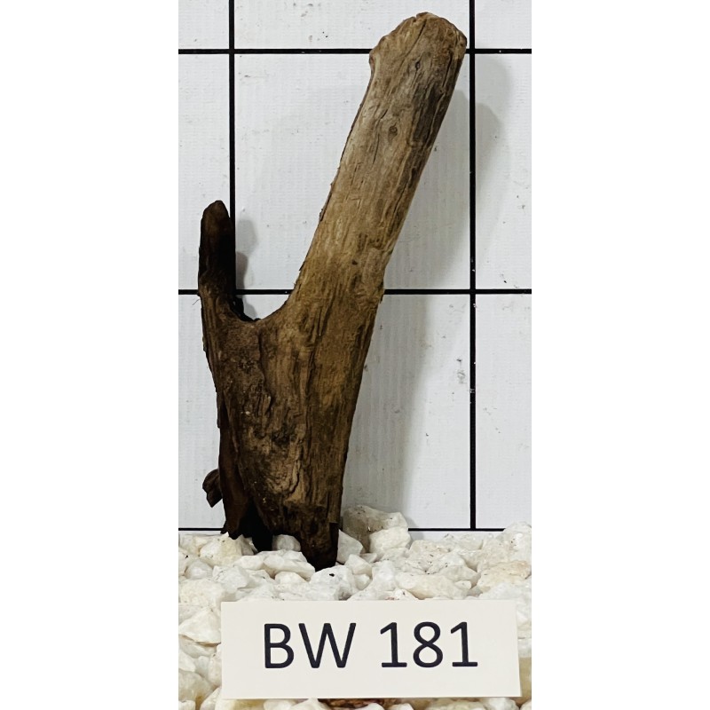 Bogwood 181