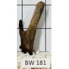 Bogwood 181